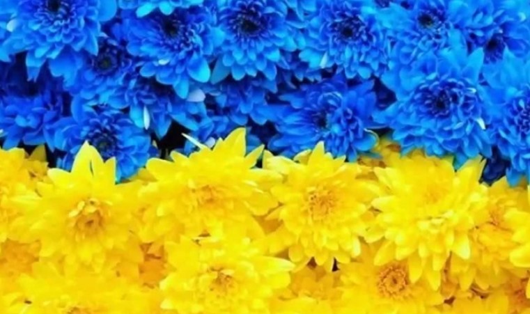 В Украине появились три новых праздника: что и когда будем отмечать