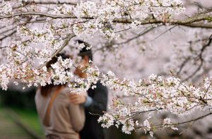 Любовный гороскоп на май