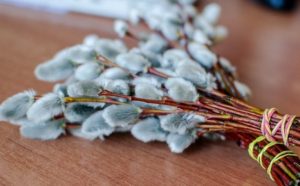 Вербное воскресенье в 2019 году: что можно и что нельзя делать 21 апреля