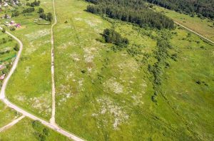 Искусственный интеллект будет мониторить земельные угодья в Украине