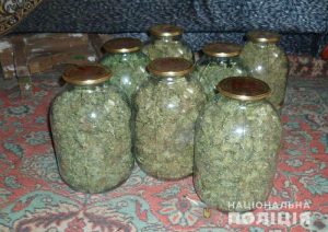 З початку року поліція Донеччини вилучила наркотиків на 400 тисяч гривень