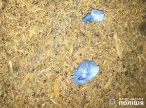 У Слов’янську оперативники встановлюють канал надходження наркосировини