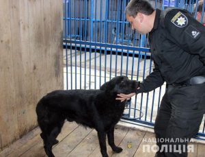 Поліцію Донеччини поповнив загін чотирилапих «розшуковців»