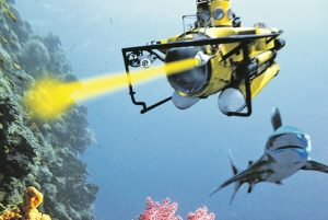 Под ударом глобального потепления – пчелы, кофе и острова