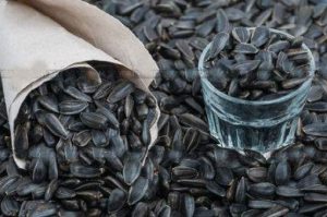 Вредна ли шелуха: ученые рассказали, как правильно есть семечки