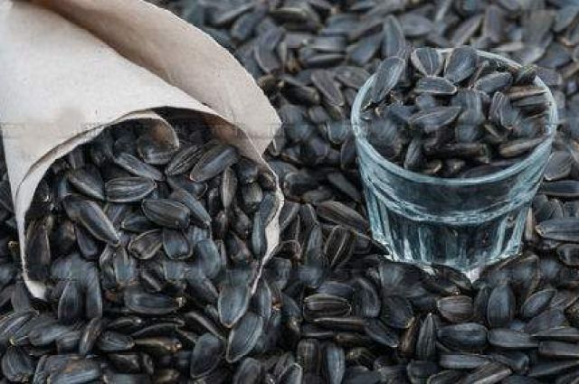 Вредна ли шелуха: ученые рассказали, как правильно есть семечки