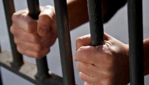 За добровільну службу на терористів чоловік три роки проведе за гратами