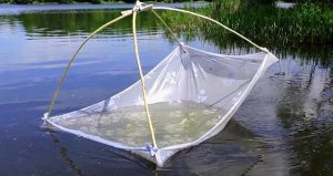 Ловив рибу “павуком” у річці Казенний Торець: прокуратура вимагає стягнення з браконьєра суми збитків, спричинених рибному господарству України