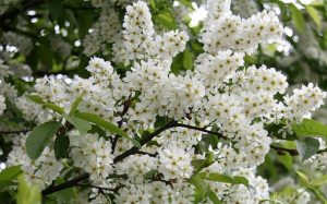 Приметы на 13 мая: что нельзя делать