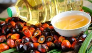 Украина закупила пальмового масла на 50 млн долларов