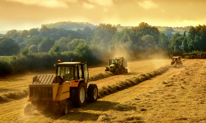 Рада отклонила постановление, призванное сделать Украину “фермерской”