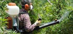 Петиция о борьбе с клещами набрала голоса в рекордный срок