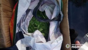 При патрулюванні Слов’янського району поліцейські вилучили близько 400 грамів канабісу