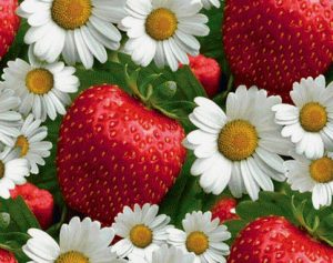 Приметы на 10 июня: что нельзя делать