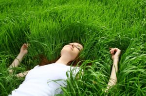 Обещают травить: жителей Славянска просят сообщать о о местах массового скопления клещей