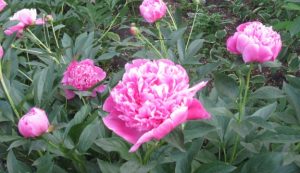 6 июня: какой сегодня праздник