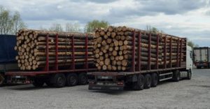 Увага! У Зеленського запустили проект проти вирубки лісу. Закликають надсилати ФОТО машин з деревиною