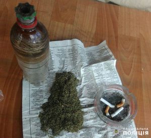 У мешканців Слов’янська вилучили амфетамін та канабіс