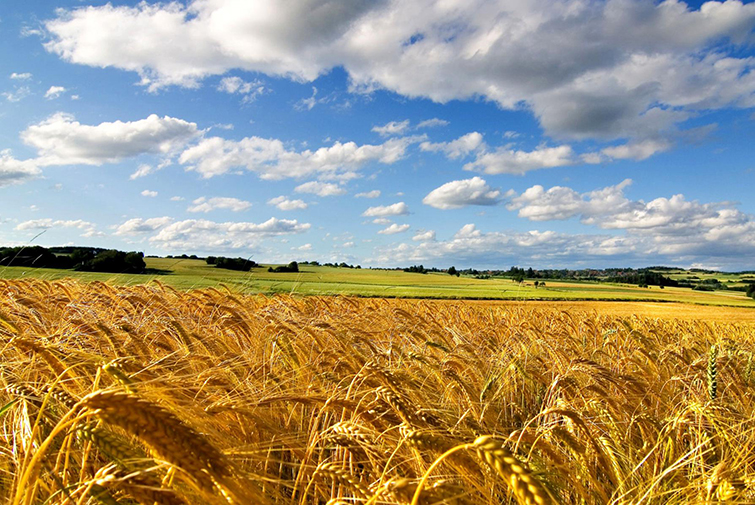 Жара до +33 и штормовое предупреждение: где будет бушевать непогода