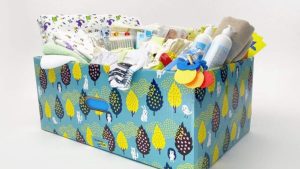 Правозащитники рассказали об изменениях и условиях для получения ВПЛ “муниципальной няни” и “пакета малыша”