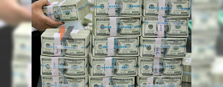 У Нацбанка “похудели” чистые валютные резервы