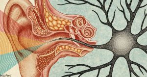 Наука говорит, что тишина жизненно важна для наших мозгов