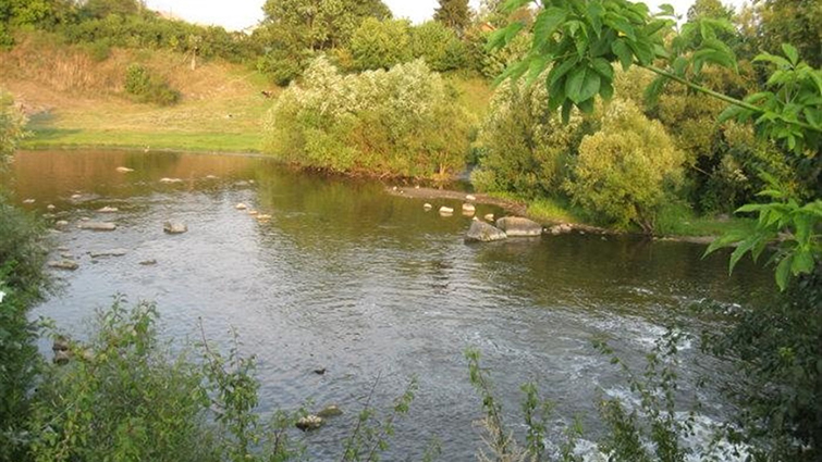 Майстра комунального підприємства засуджено за порушення вимог законодавства про охорону праці, що призвело до загибелі працівника