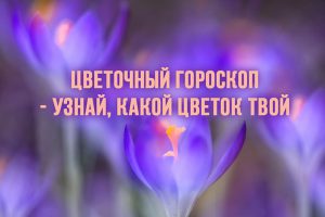 Цветочный гороскоп