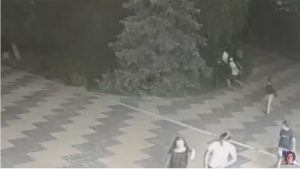 Случай вандализма в парке Шелковичый