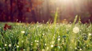 Приметы на 17 июля: что нельзя делать в день Андрея