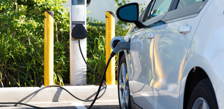 Зеленые номера и новые знаки. Верховная Рада приняла новый законопроект