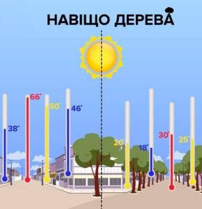Ученые назвали самый эффективный способ борьбы с глобальным потеплением