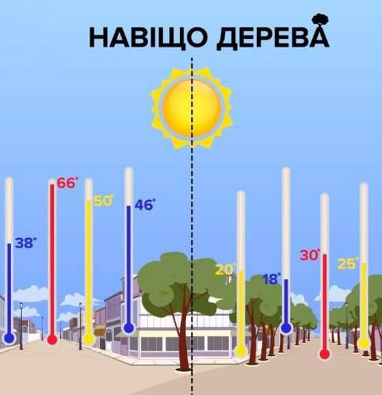 Ученые назвали самый эффективный способ борьбы с глобальным потеплением