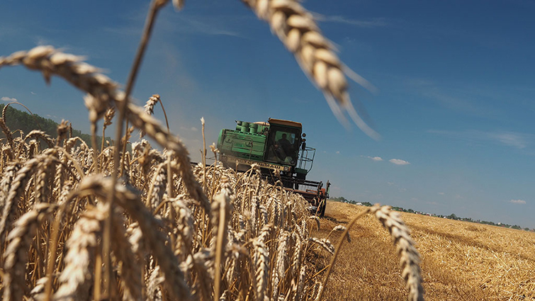 С начала “хлебного перемирия” зафиксировано 75 нарушений режима тишины