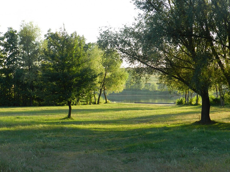 Завтра украинцев ждет практически идеальная погода – синоптик