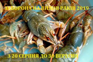 До 30 вересня встановлено заборону на вилов раків