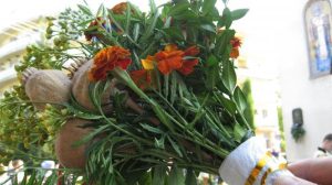 Приметы на 16 июля: что нельзя делать в Маков день