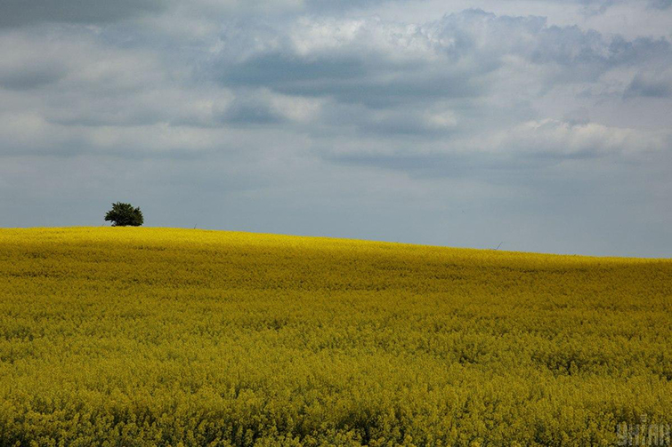 Мораторий на продажу земли отменят до конца года