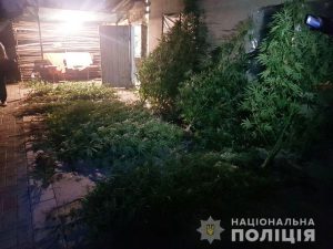 Полицейские Донетчины изъяли наркотики на полмиллиона гривен