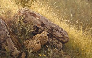 Почему 3 июля в народе называли Погодоуказатель