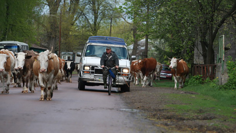 В Украине выросла зарплата в сельском хозяйстве