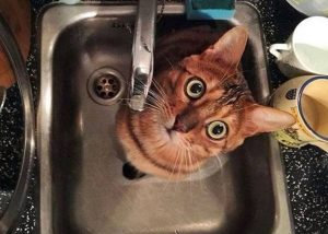 Де сьогодні у Слов’янську не буде води