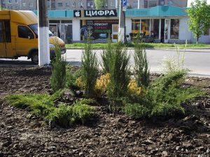 Стало известно, кто будет заниматься поливом зеленых зон Славянска