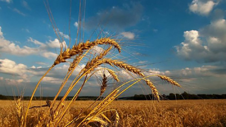 Какой будет погода в Украине до конца недели