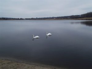 Экологическое состояние города Славянска за 7 месяцев 2019