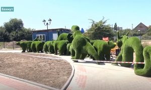 Слоны, жирафы, носороги: На набережной Бахмута появились новые обитатели