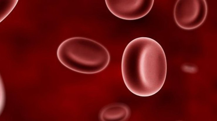 Ученые назвали “самую страшную” группу крови