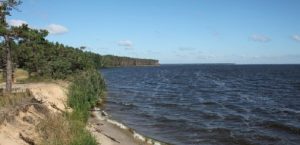 В бывшем охотничьем угодье Януковича откроют заповедник