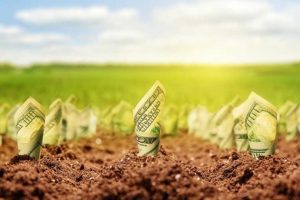 Когда в Украине начнет работать рынок земли – цена 1 га и как не прогадать с продажей паев