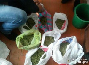 У жителя Былбасовки обнаружено более 2 кг готовой к употреблению марихуаны